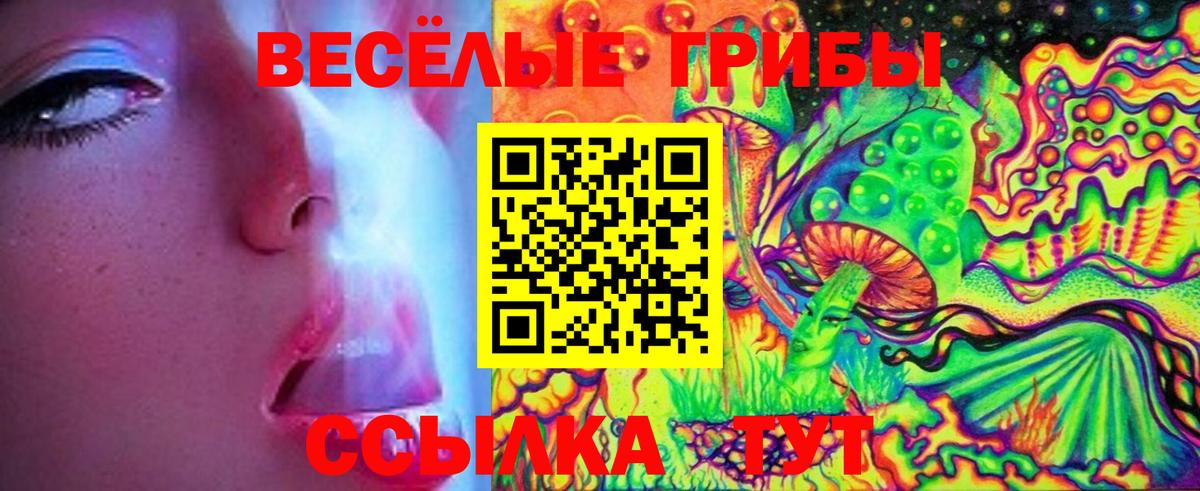 Псилоцибиновые грибы Psilocybe Дзержинский