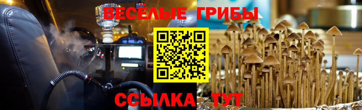 Галлюциногенные грибы MAGIC MUSHROOMS  Вход с VPN  Дзержинский 